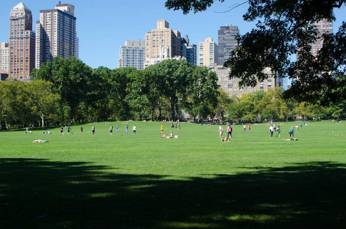 People relaxing on a lawn in Central Park, New York